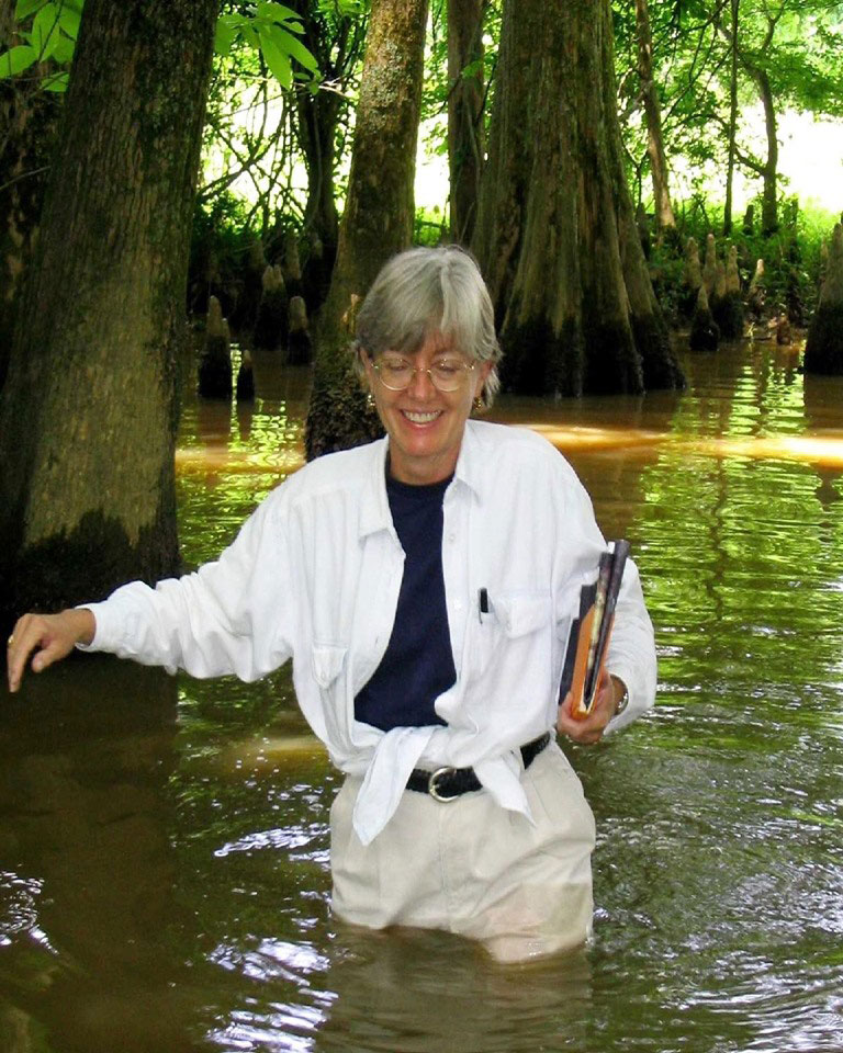 lois-in-swamp